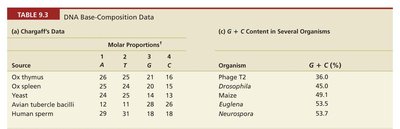 Chargaff's data table