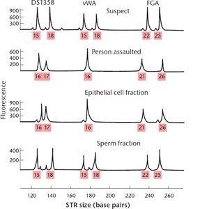 STR profile comparison in forensic samples