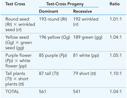 Test-cross results from Mendel's experiments