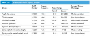 Table of human trinucleotide repeat disorders