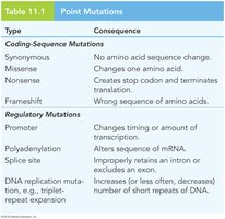 Table summarizing point mutations and their consequences