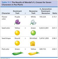 Results of Mendel's F1 crosses for seven pea plant characters