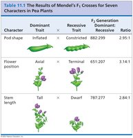 Results of Mendel's F1 crosses for seven pea plant characters (continued)