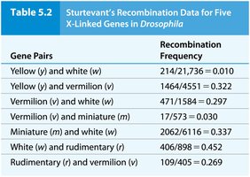 Table of Sturtevant's recombination data for five X-linked genes in Drosophila