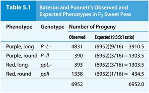 Table of Bateson and Punnett's observed and expected phenotypes in F2 sweet peas