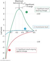Lod score graph for genetic linkage