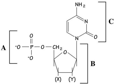 Structure of a nucleotide