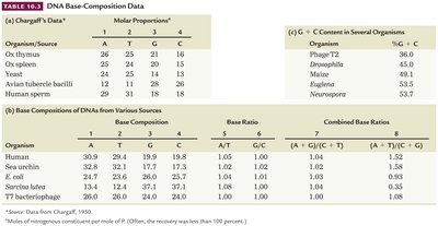 Chargaff's base composition data