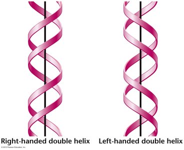 DNA double helix structure