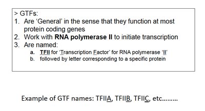GTFs and RNA polymerase II