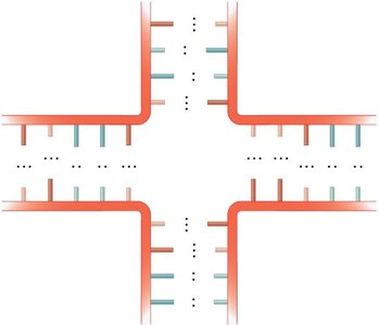RNA multibranched junction structure