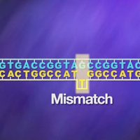 DNA mismatch representing a mutation