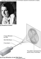 Rosalind Franklin and X-ray diffraction pattern