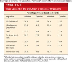 Chargaff's base composition table
