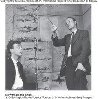 Watson and Crick with DNA model
