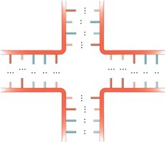 Multibranched junction in RNA