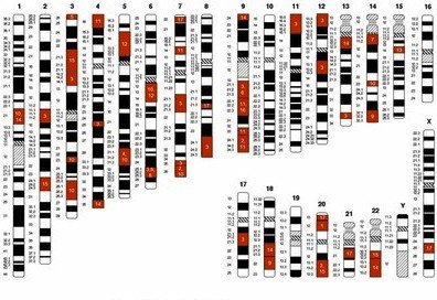 Chromosome map showing gene locations