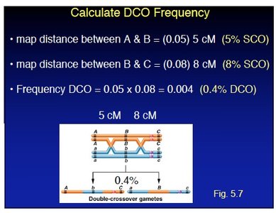 Calculate DCO frequency