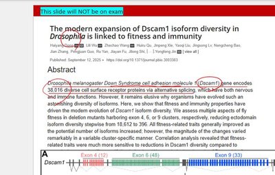Dscam gene alternative splicing