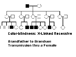 Pedigree showing X-linked recessive inheritance of color-blindness
