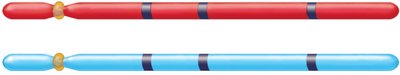 Genotype examples on homologous chromosomes
