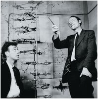 Watson and Crick with DNA model