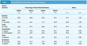 Table of nucleotide base composition in various genomes