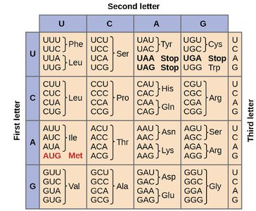 Genetic code table