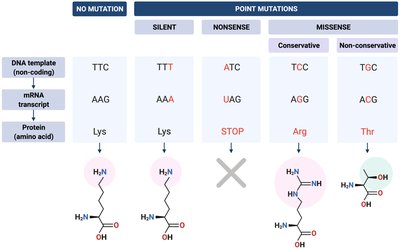 Summary of mutation types and effects