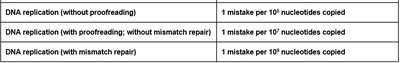 DNA replication error rates table