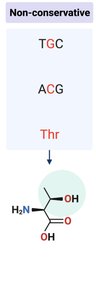 Non-conservative mutation example