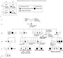 Pedigree showing X-linked recessive inheritance of hemophilia in royal families