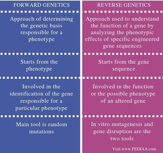 Table comparing forward and reverse genetics