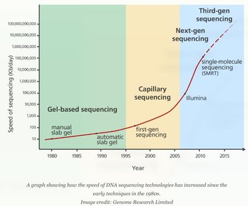 Genomic DNA library construction