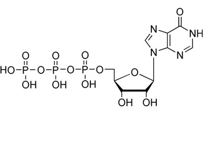 Structure of inosine triphosphate