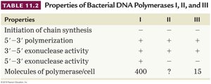 Table of properties of bacterial DNA polymerases I, II, and III