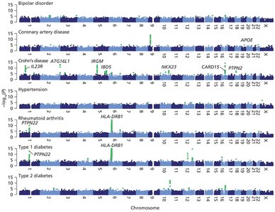 Manhattan plot of GWAS results for common diseases