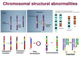 Types of chromosomal structural abnormalities