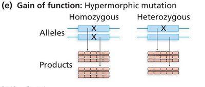 Gain of function mutation