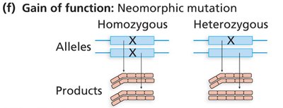 High altitude adaptation example