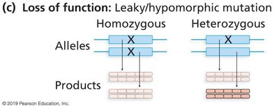 Leaky mutation: partial function
