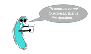 Bacterium deciding to express genes