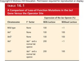 Table 16.1: Loss-of-function mutations in lac operon