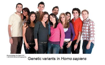 Genetic variants in Homo sapiens