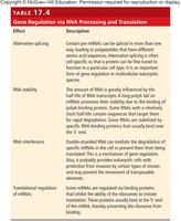 Gene regulation via RNA processing and translation