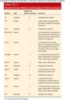 Table of standard human histones and variants