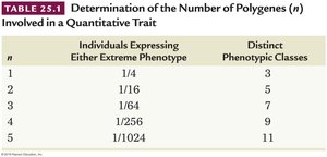 Table: Determination of the Number of Polygenes