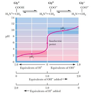 Charge states of glutamic acid