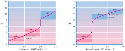 Charge states of lysine