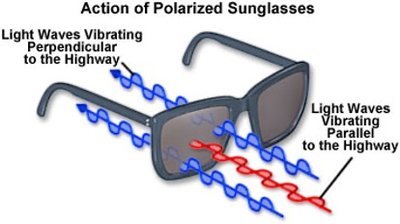 Polarization and optical activity setup